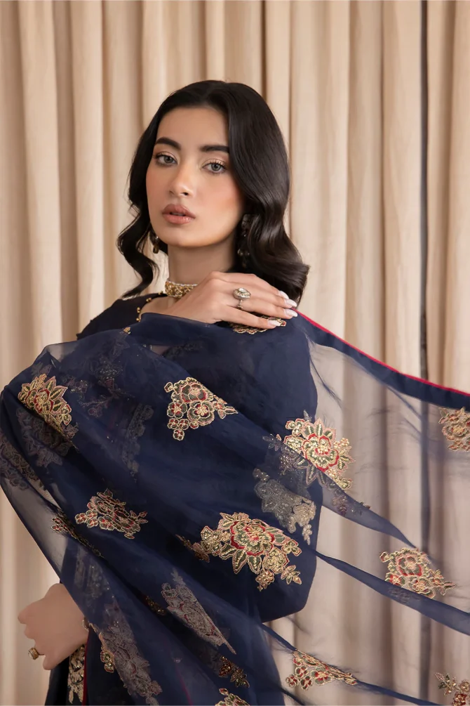 Iznik | Festive Raw Silk Formals